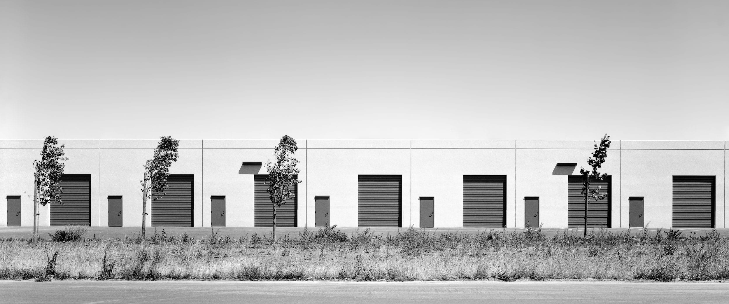 Urban Trees